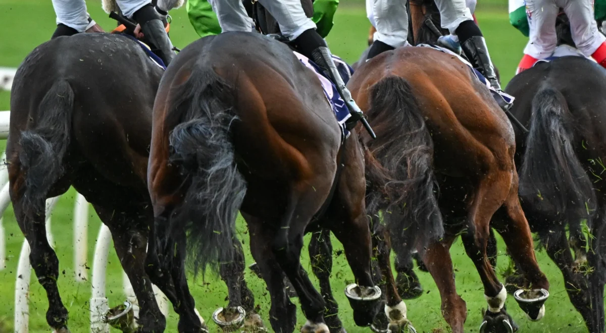 3186.jpg New twist in affordability checks row demands answers from Gambling Commission