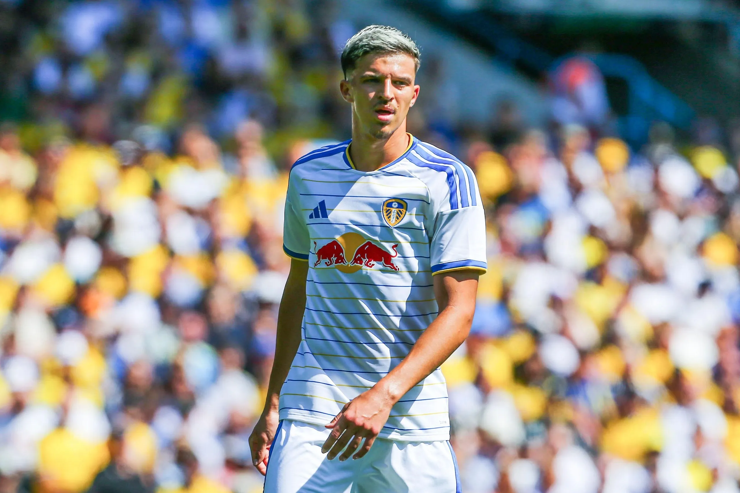 Tarik Muharemovic