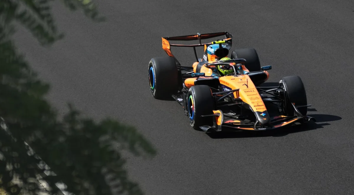 3928.jpg ‘People are loving it’: Formula One chief Domenicali hits back at critics of regulations