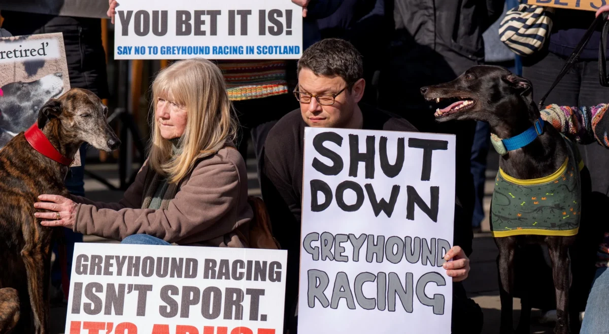 4770.jpg Keir Starmer urged to ban ‘cruel’ greyhound racing in England