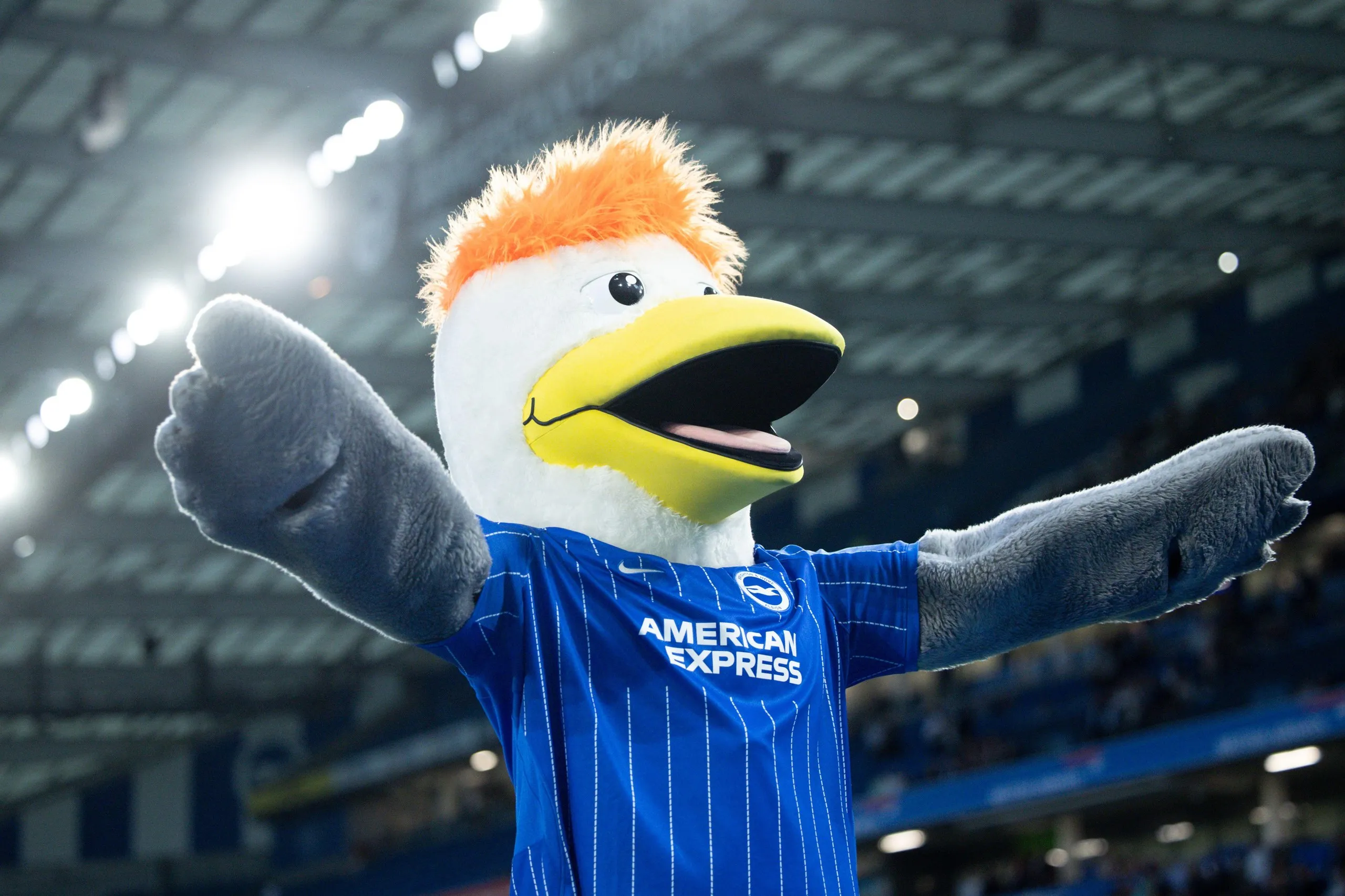 Brighton’s mascot