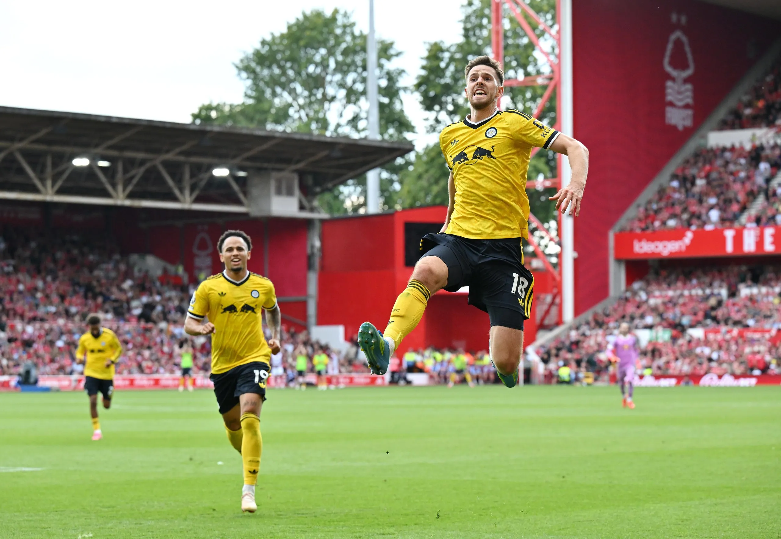 Anton Stach jumps for joy after his late winner for Leeds