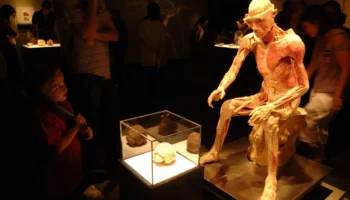 Une mère découvre le corps de son fils dans l&rsquo;exposition à Las Vegas