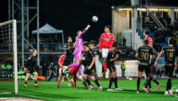 Les formations probables de Casa Pia et Benfica pour la 2ème journée de la Liga