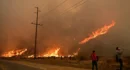 Des sénateurs démocrates s&rsquo;inquiètent des paris sur les incendies de forêt