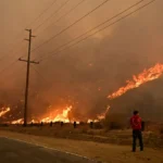 Des sénateurs démocrates s&rsquo;inquiètent des paris sur les incendies de forêt