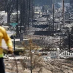 Un projet de loi vise à interdire les marchés de prévision sur les incendies de forêt