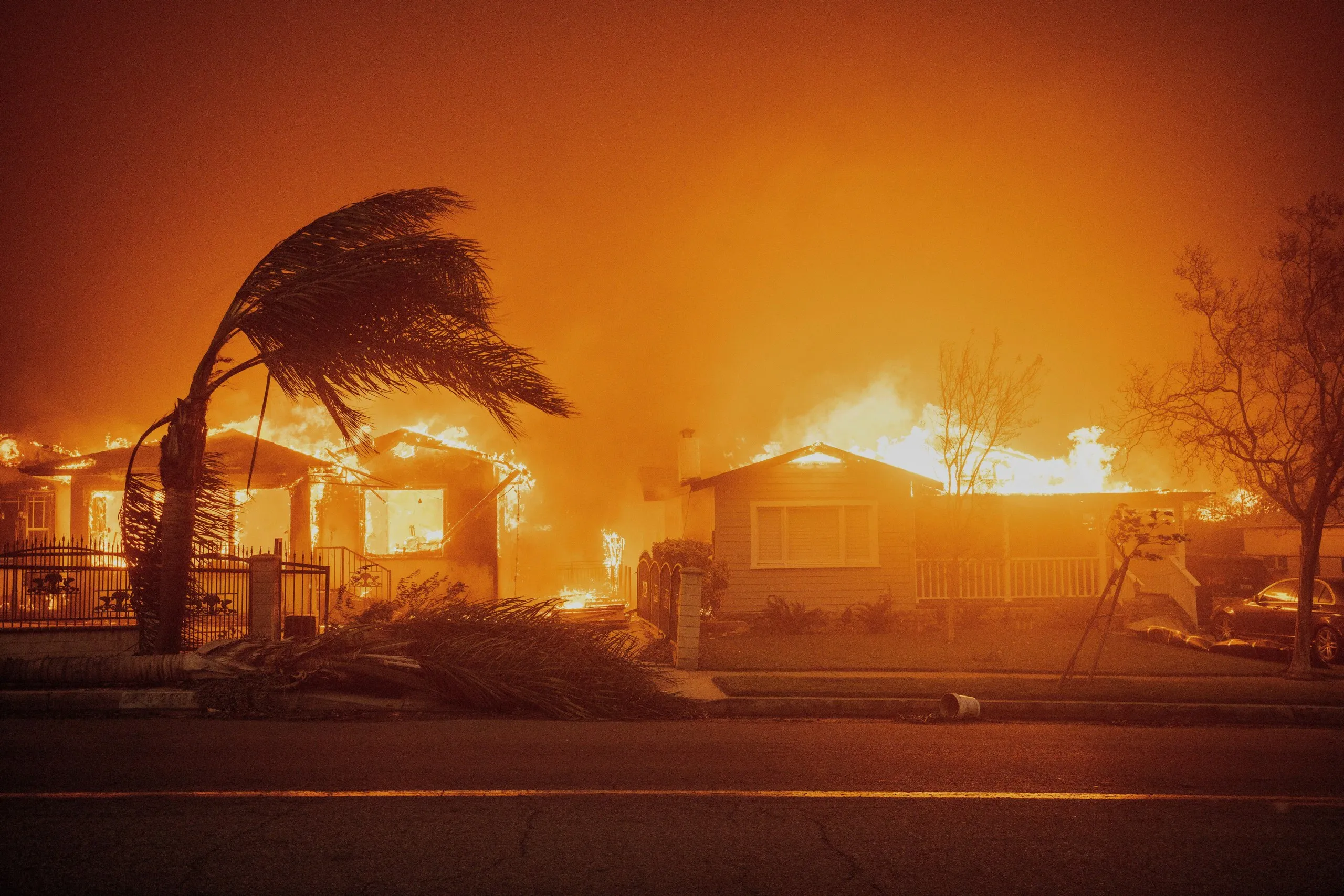 Trees sway in high winds as the Eaton Fire burns homes