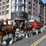 Springfield poursuit MGM pour rupture d&rsquo;accord sur le casino