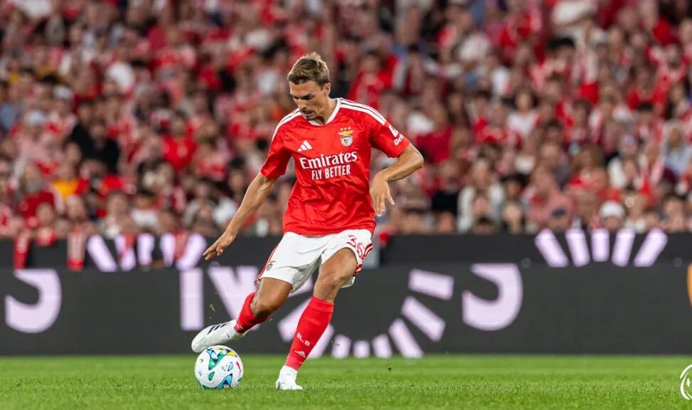João Palhinha Benfica